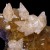Calcite on Fluorite Moscona Mine M05408